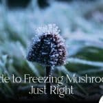 Frozen mushroom properly and just right, answering, can you freeze mushrooms