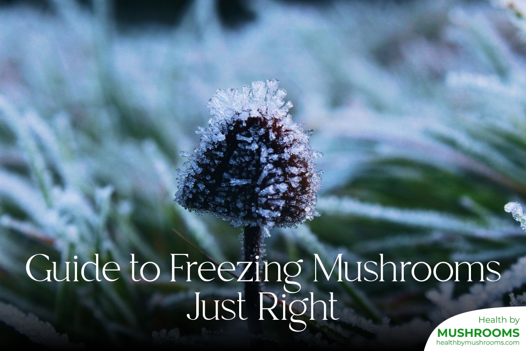 Frozen mushroom properly and just right, answering, can you freeze mushrooms