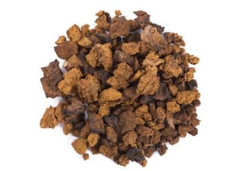 Can You Put Chaga Mushroom Powder in Coffee?