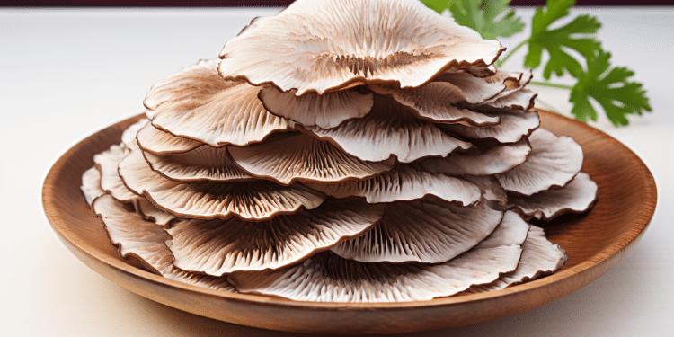 Can You Take Turkey Tail Mushroom While Breastfeeding?
