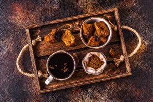 Chaga and Reishi | The Similarities, Differences, and Benefits