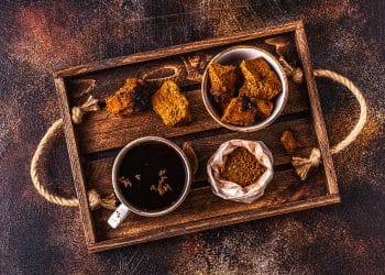 Chaga and Reishi | The Similarities, Differences, and Benefits