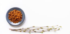 Chaga Benefits for Hair | Does Chaga Prevent Hair Loss?