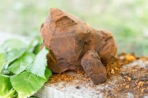 Chaga Benefits for Your Skin