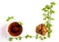 Does Chaga Mushroom Help With High Blood Pressure?