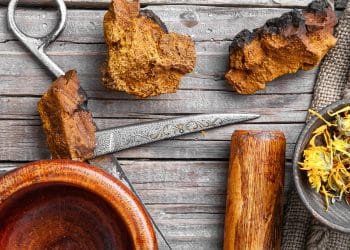 Chaga Mushroom and Plant Compounds