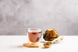 Chaga Mushroom for Autoimmune Disease