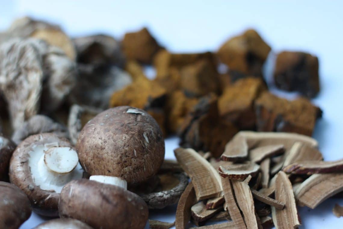 Dried Mushrooms Histamine at Mark Ross blog