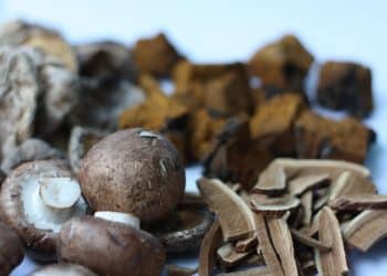 Is Chaga Mushroom Low Histamine?