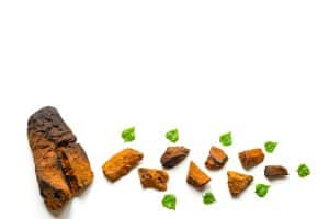 Chaga Mushroom Side Effects and Potential Drug Interactions