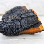 Does Chaga Have a Fruiting Body?