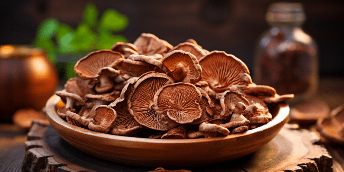 Does Reishi Mushroom Increase Testosterone? Health By Mushrooms