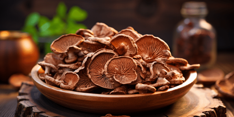 Does Reishi Mushroom Increase Testosterone?