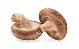 Does Shiitake Mushroom Extract Help With HPV?