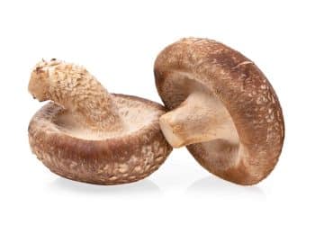 Does Shiitake Mushroom Extract Help With HPV?
