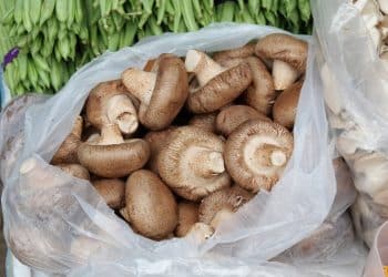 How Long Does Shiitake Mushroom Stay Fresh?