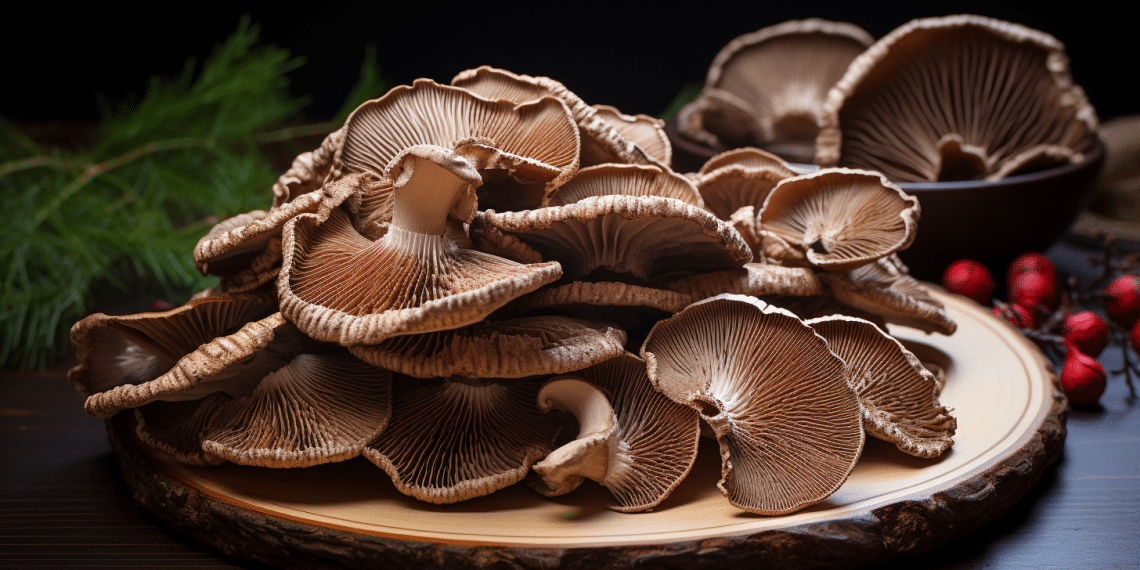 Dried Turkey Tail Mushroom How to Dry Turkey Tail Mushrooms Health