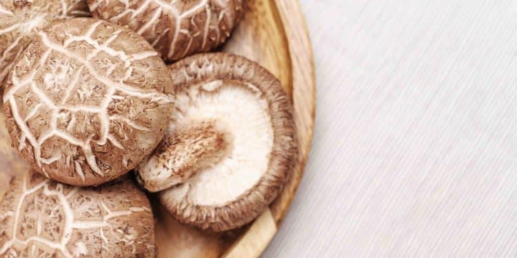 How to Prepare Shiitake Mushroom