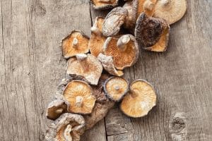 How to Use Shiitake Mushroom Powder