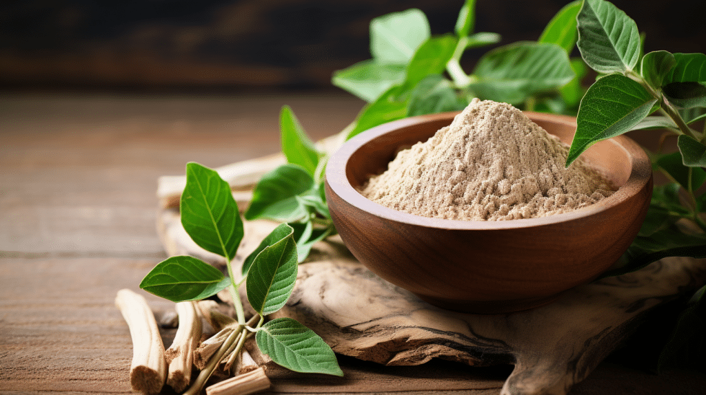 Can I Take Ashwagandha And Probiotics Together Ashwagandha and Ginkgo Biloba | Can You Take Them Together? - Health By