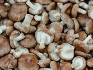 Is Shiitake Mushroom Antiviral?