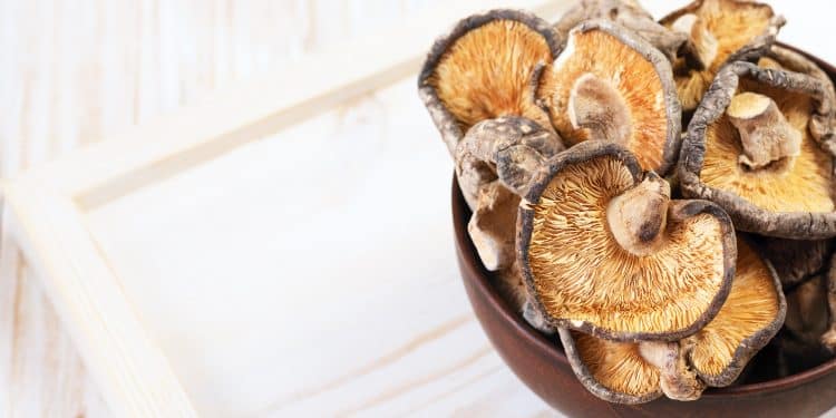 Is Shiitake Mushroom High in Histamine?