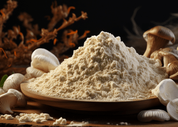 Lion’s Mane Dosage | How Much Should You Take Per Day?