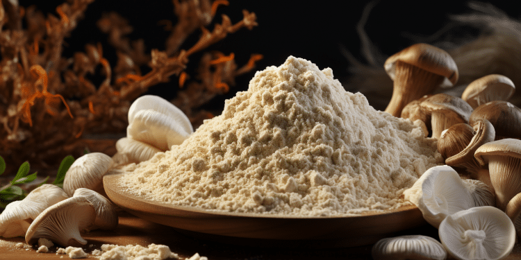 Lion’s Mane Dosage | How Much Should You Take Per Day?