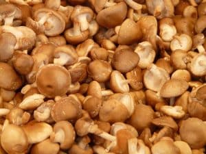 Shiitake Mushroom vs Portobello Mushroom