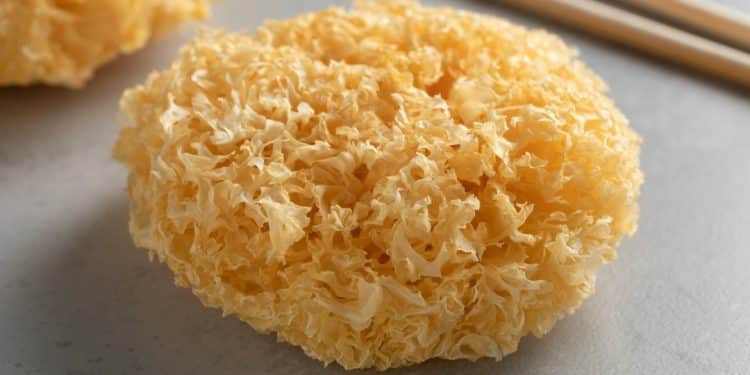 Tremella Mushroom Benefits | A Guide to Side Effects, and More