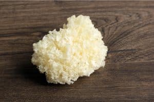 Tremella Mushroom For Skin: What You Need To Know