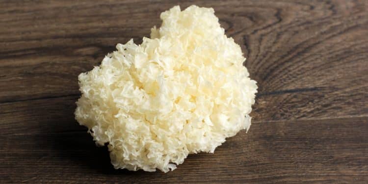 Tremella Mushroom For Skin: What You Need To Know
