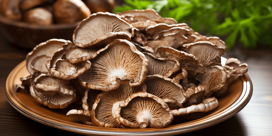 Turkey Tail Mushroom Diarrhea How Common it is? Health By Mushrooms