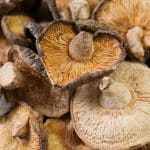 What is The Copper Content of Shiitake Mushrooms?