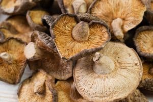 What is The Copper Content of Shiitake Mushrooms?